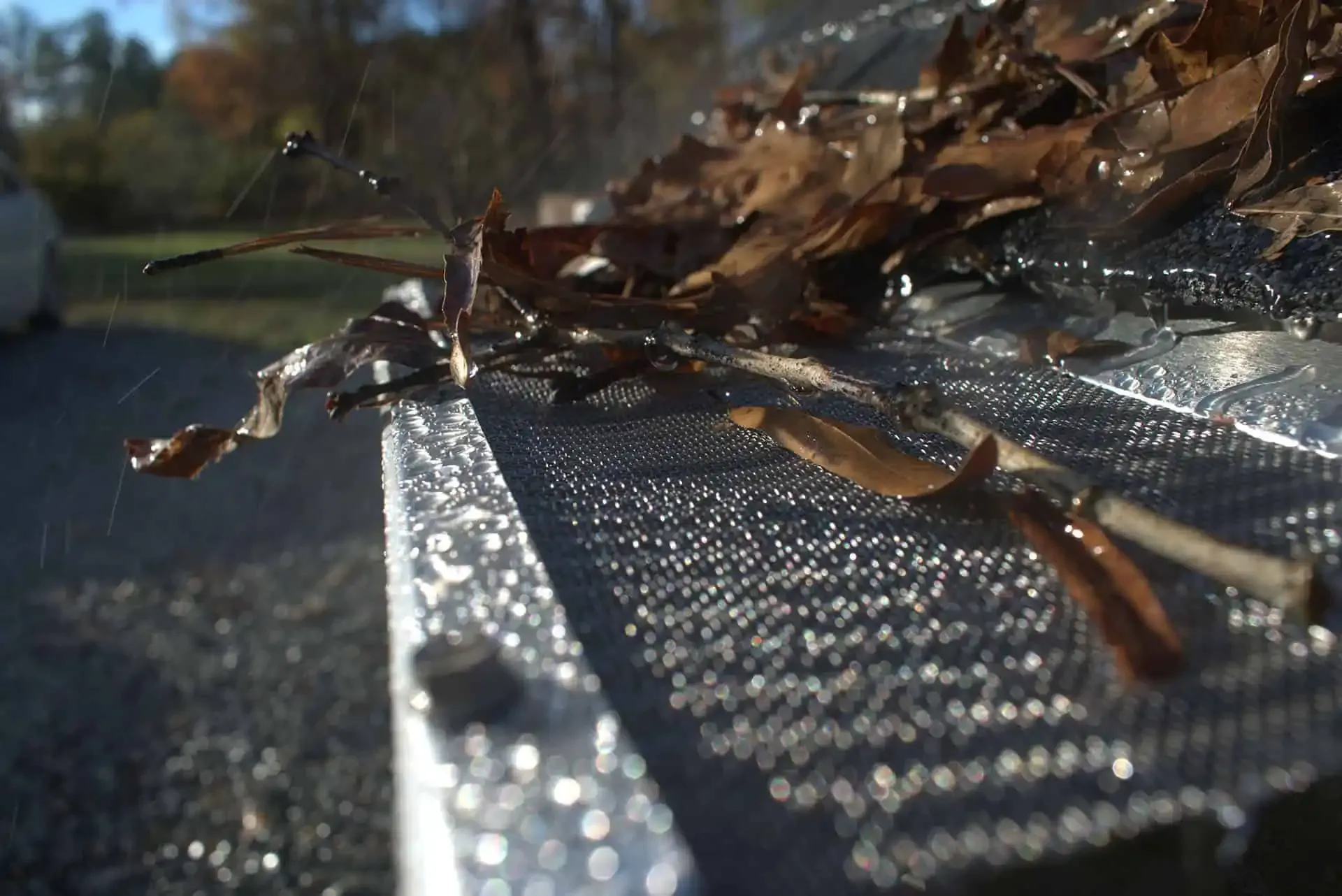 Micro-mesh gutter guards installed — no more cleaning.